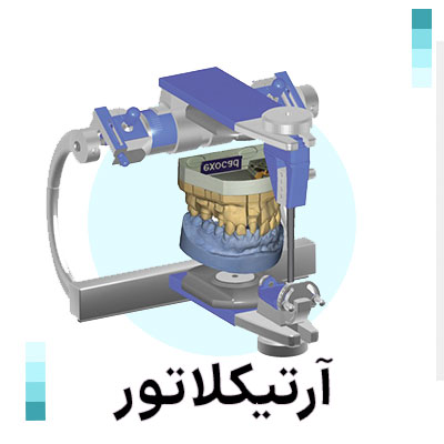 تنوعی از کاکتوس های جذاب و متفاوت