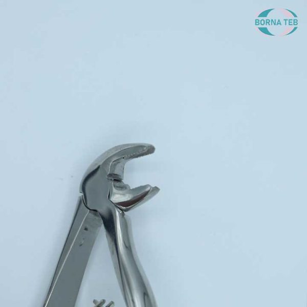فورسپس ریشه کشی پایین اطفال