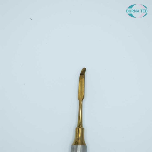 اسپاتول محکمه سرکج و دهانی طلایی